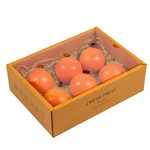 Customize 6pcs Orange Fruit Gift Box with Transparent Lid