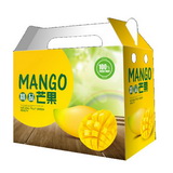 Fresh Fruit Box design for Mango