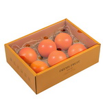 Customize 6pcs Orange Fruit Gift Box with Transparent Lid